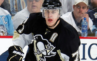 hockodds_malkin.jpg